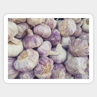 Purple Garlic 2 Sticker